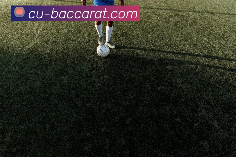 百家乐官网服务体系